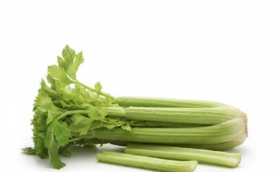 Cómo ofrecer apio a un bebé