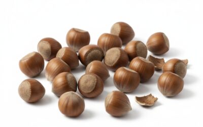 Cómo ofrecer avellanas a un bebé